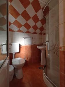 een badkamer met een toilet en een wastafel bij Pensiunea Dana Olteanu in Moieciu de Sus