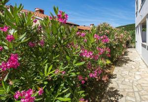 een rij roze bloemen naast een gebouw bij Ferienwohnung für 2 Personen ca 27 qm in Rabac, Istrien Bucht von Rabac - b58159 in Rabac