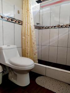La salle de bains est pourvue de toilettes et d'un rideau de douche. dans l'établissement Cabaña El canto del Arriero, à Oxapampa