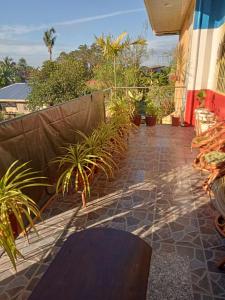 een patio met potplanten en een hek bij Villa Ceferina in Tagbilaran-stad