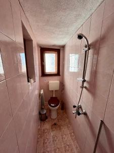 a small bathroom with a toilet and a shower at Luylyana Guesthouse in Ribarica +54 photos