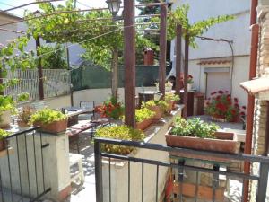 een tuin met potplanten op een balkon bij Ferienwohnung für 4 Personen ca 60 qm in Pula, Istrien Istrische Riviera in Pula