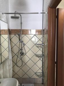 La salle de bains est pourvue d'une douche, de toilettes et d'un lavabo. dans l'établissement Casa Campo dei Fiori, à Pontecorvo