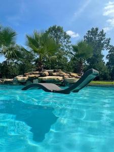 un tobogán en el agua en una piscina en Prancing Horse Estates- 10 acres w/huge pool + spa, en Montgomery