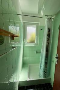 a green bathroom with a tub and a window at Helen Apartments in Crikvenica