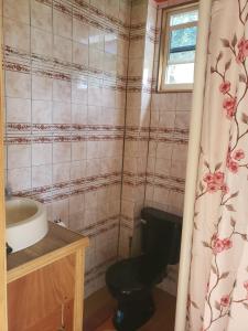 Un baño con lavabo, inodoro y cortina de ducha. en Lovers View, en Giraudel