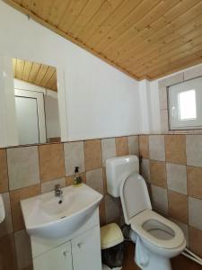 een badkamer met een toilet en een wastafel bij Pensiunea Dana Olteanu in Moieciu de Sus