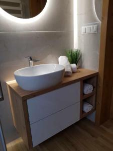 a bathroom with a white sink and a mirror at Panoramiczny Wierch in Rzepiska
