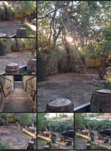 un collage de fotos con un árbol y un barril en HOSTEL CHACRAS en Luján de Cuyo