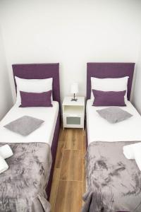 a bedroom with two beds and a night stand at Apartman Mina 4 in Vrdnik