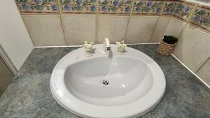 a white sink in a bathroom with two cats on it at Bickley Street in Perth