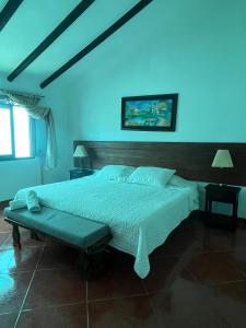 1 dormitorio con 1 cama grande y paredes azules en VILLA LEWANA 2, en Villa de Leyva