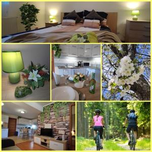 a collage of pictures of a woman riding a bike at Limonádé Apartman in Gárdony