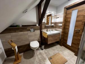 uma casa de banho com um WC e um lavatório em apartmán Crystalindo em Smržovka