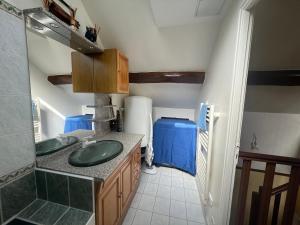 ein Badezimmer mit einem grünen Waschbecken und einem blauen Tank in der Unterkunft Duplex Cosy Centre Ville in Saint-Leu-la-Forêt