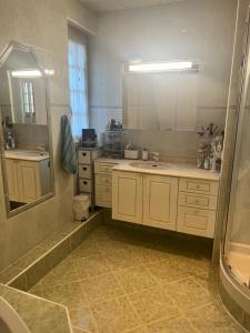 a bathroom with a sink and a shower and a mirror at Maisons d'hôte à la campagne Parisienne in Longjumeau