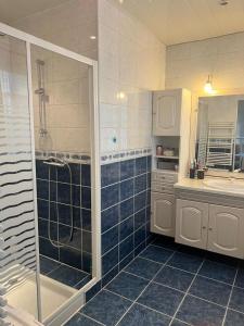 a bathroom with a shower and a sink at Maisons d'hôte à la campagne Parisienne in Longjumeau