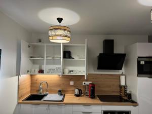 a kitchen with a sink and a light fixture at Superbe studio cosy in Chessy