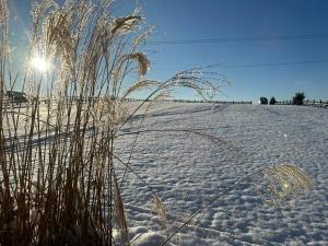 Obiekt Bąbelkowa Chata Beskidy Domek z Balią Jacuzzi zimą
