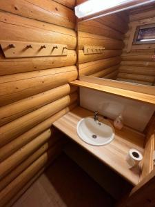 uma casa de banho com um lavatório numa cabina de madeira em Ylläs Valokki em Ylläsjärvi