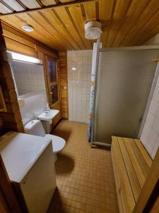 ein Bad mit einem WC und einem Waschbecken in der Unterkunft Ylläs Valokki in Ylläsjärvi
