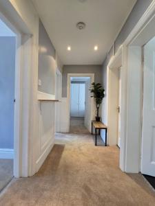 a hallway with white walls and a hallway with a potted plant at Great Flat Close to Edgware Road in London