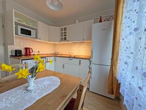 Kuchyň nebo kuchyňský kout v ubytování La Vida apartment