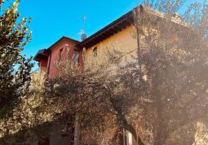 ein Gebäude mit einem Baum davor in der Unterkunft Villa Mattei in Villa Pedergnano