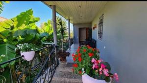 Μπαλκόνι ή βεράντα στο Ios Guest House
