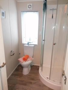 a bathroom with a toilet and a shower at Lovely 3-Bed Lodge in Eyemouth with stunning views in Eyemouth