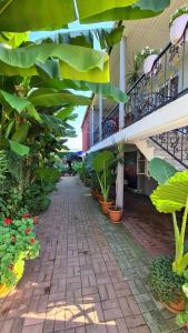 Κήπος έξω από το Ios Guest House
