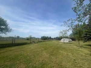 Billede fra billedgalleriet på Nyugalom Szigete Vendégház i Bócsa