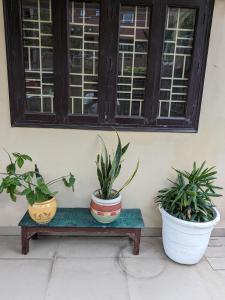 three potted plants sitting on a bench in front of a window at Excellent Home Away from Home! in Noida