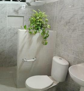 Bagno di Ortimar