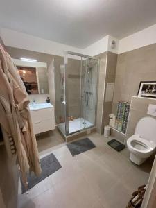 a bathroom with a shower and a toilet and a sink at Appartement confort in Garches