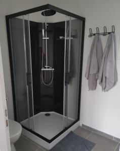 a glass shower in a bathroom with a toilet at La Caza Cozy in La Teste-de-Buch