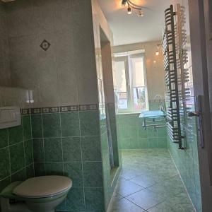a green bathroom with a toilet and a shower at Apartament Poranek in Grzybowo