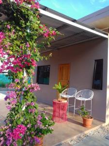 un patio con 2 sedie e fiori rosa di Santa Cruz Guanacaste CR a Santa Cruz