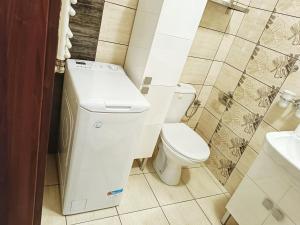 ポラニツァ・ズドルイにあるApartament Jolaの小さなバスルーム(トイレ、シンク付)
