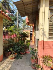 un grupo de plantas en macetas sentadas fuera de un edificio en Premium Apartment, Kolkata Airport en kolkata