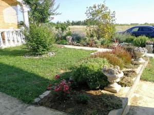 Vrt ispred objekta Ferienwohnung für 5 Personen ca 45 qm in Privlaka, Dalmatien Norddalmatien