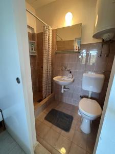 a bathroom with a toilet and a sink at Family house Aldo in Rogač +39 photos