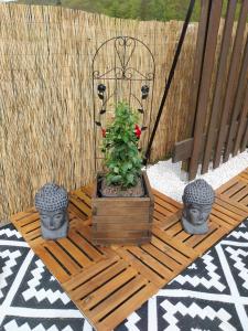 une plante en pot assise sur une table en bois dans l'établissement Chalet La Semoy, à Thilay