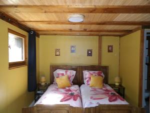 1 dormitorio con 1 cama con 2 almohadas en Studio à Murbach au calme, en Murbach