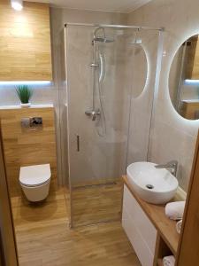 a bathroom with a shower and a toilet and a sink at Panoramiczny Wierch in Rzepiska