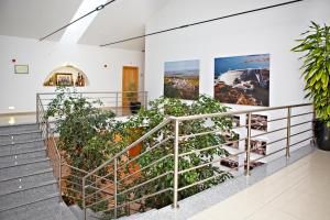 una escalera en un edificio con plantas en Solar de Alqueva en Reguengos de Monsaraz