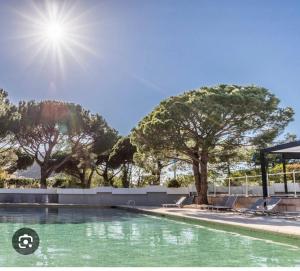 uma piscina com árvores ao fundo em MAGNIFIQUE T2 RÉSIDENCE LUXE MANDELIEU CANNES em Mandelieu-la-Napoule
