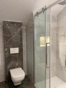 een badkamer met een toilet en een glazen douche bij Maison Paray- Orly- Parking Privé in Paray-Vieille-Poste