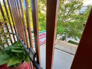 a plant in a pot sitting on a balcony at Hotel Kristali in Peshkopi