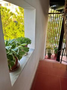 a balcony with potted plants on a building at Hotel Kristali in Peshkopi